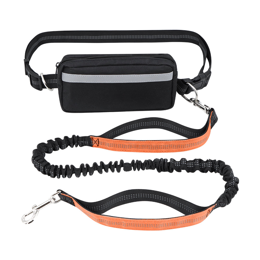 Laisse pour Chien Mains Libres avec Double Poignée