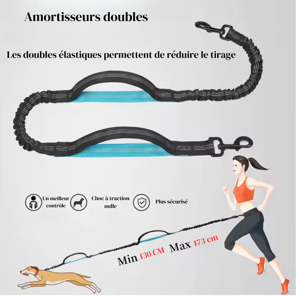 Laisse pour Chien Mains Libres avec Double Poignée