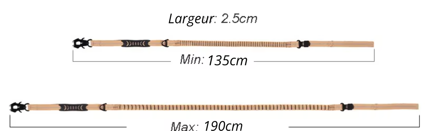 Laisse Tactique Élastique pour Chien