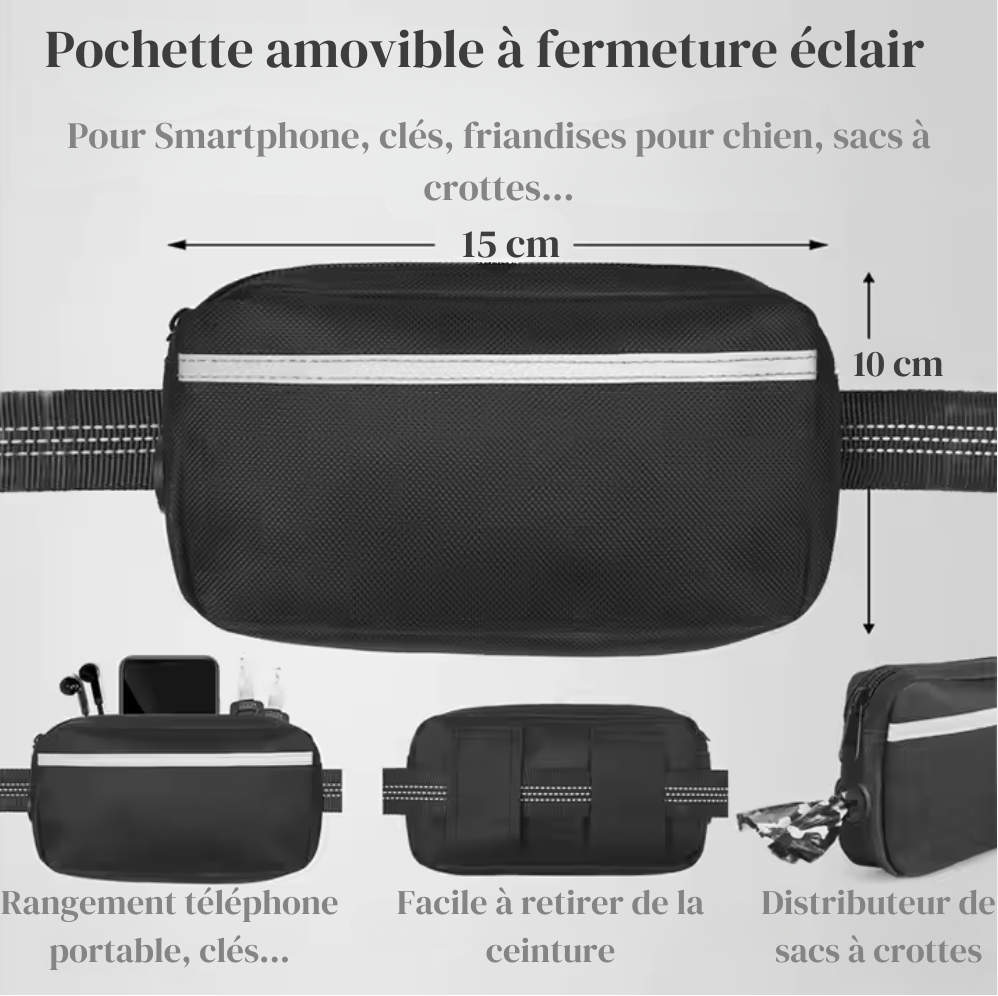 Laisse pour Chien Mains Libres avec Double Poignée