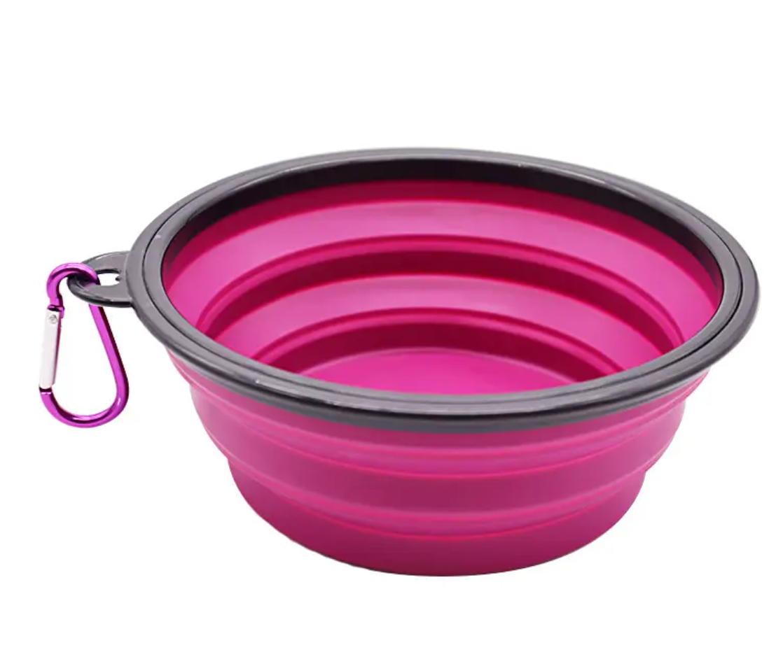 Gamelle de Voyage Pliable pour Chien avec Clip