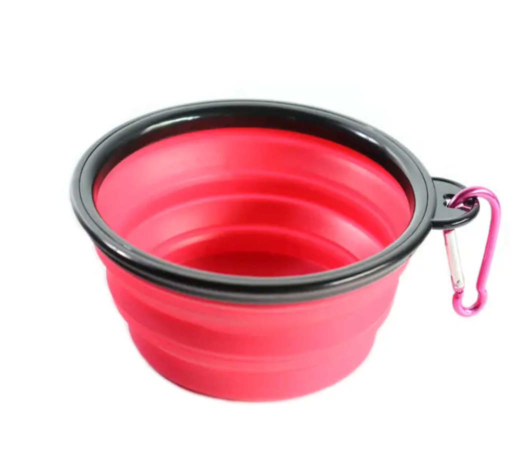 Gamelle de Voyage Pliable pour Chien avec Clip