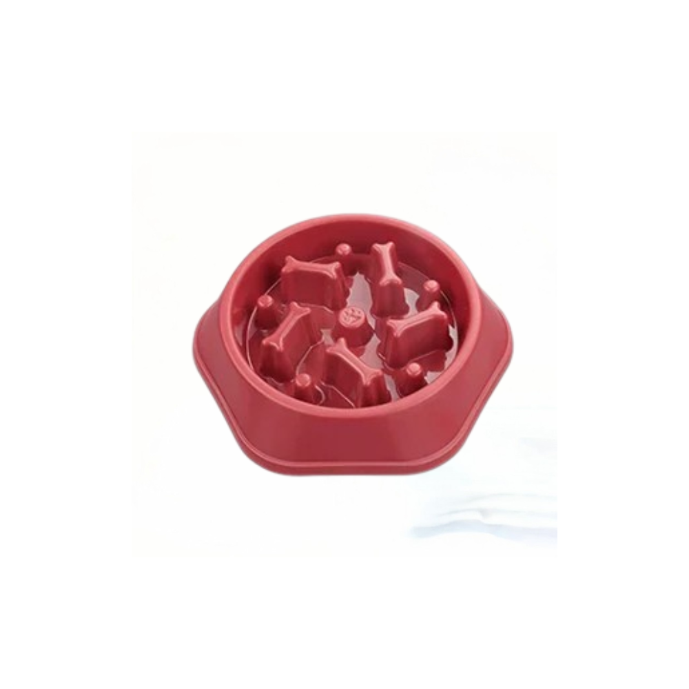 Bol Anti-Glouton pour Chien – Gamelle Ralentissant l’Ingestion