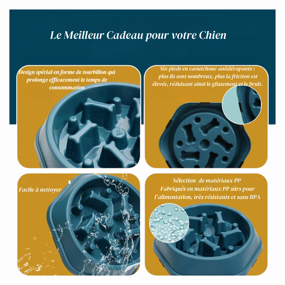 Bol Anti-Glouton pour Chien – Gamelle Ralentissant l’Ingestion
