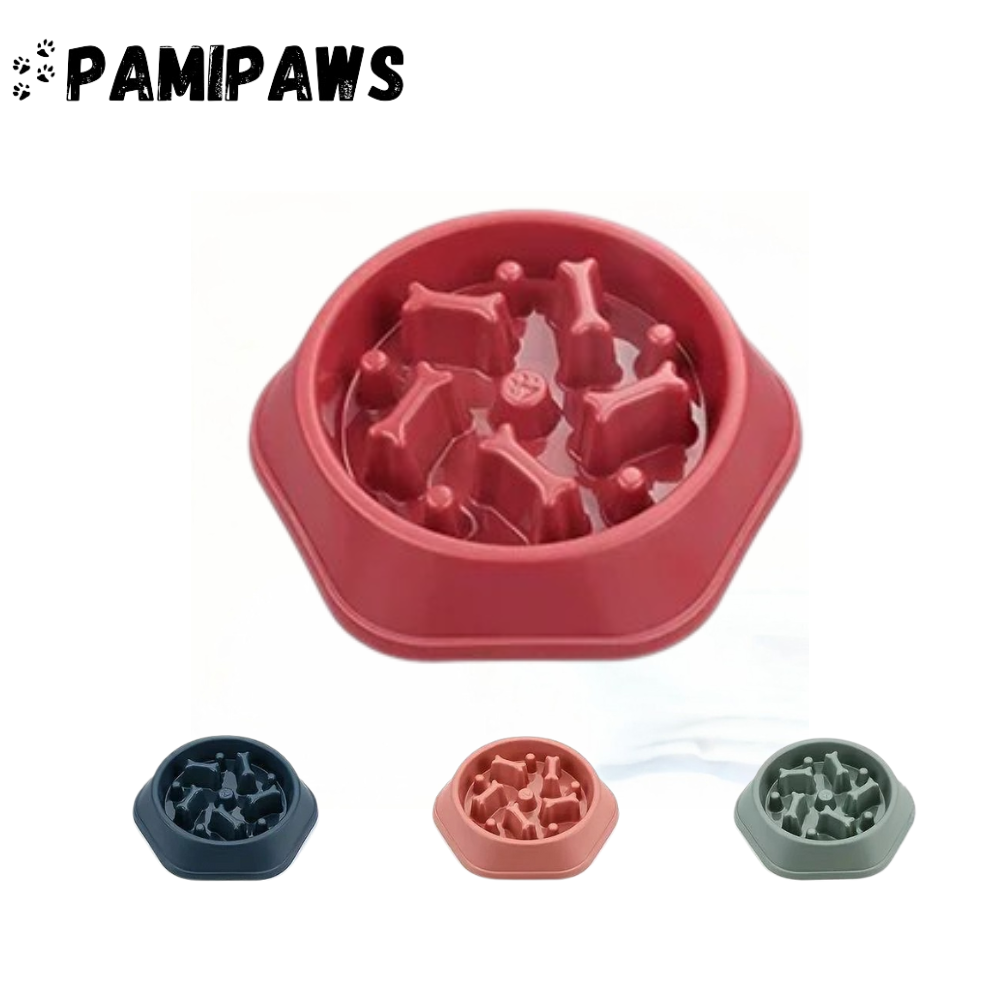 Bol Anti-Glouton pour Chien – Gamelle Ralentissant l’Ingestion