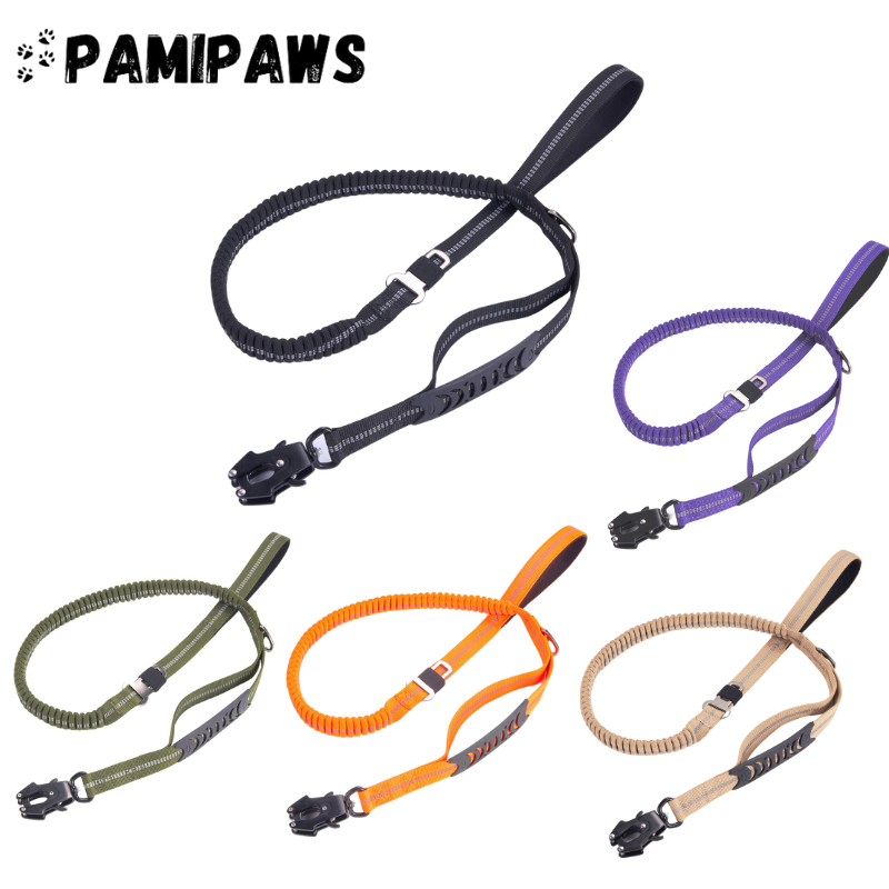 Laisse Tactique Élastique pour Chien