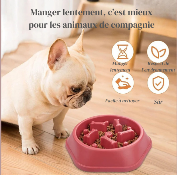 Bol Anti-Glouton pour Chien – Gamelle Ralentissant l’Ingestion
