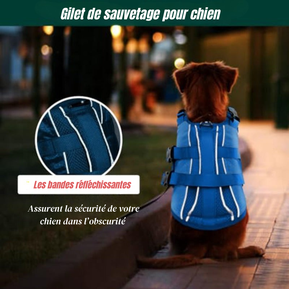 Gilet de Sauvetage Réfléchissant pour Chien avec Poignée