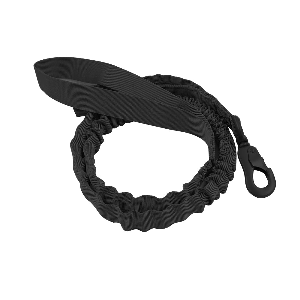 Laisse Chien Réglable