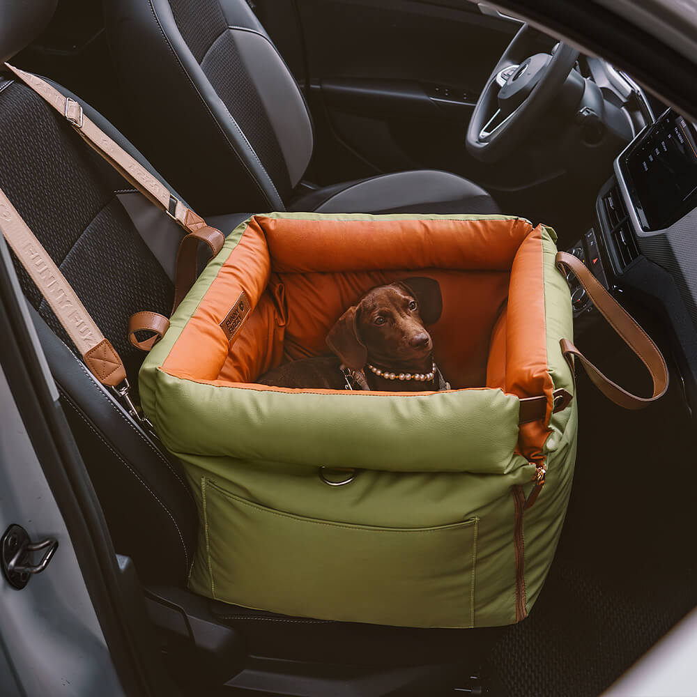 Siège Auto Chien