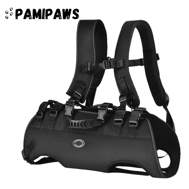 Harnais pour Chien