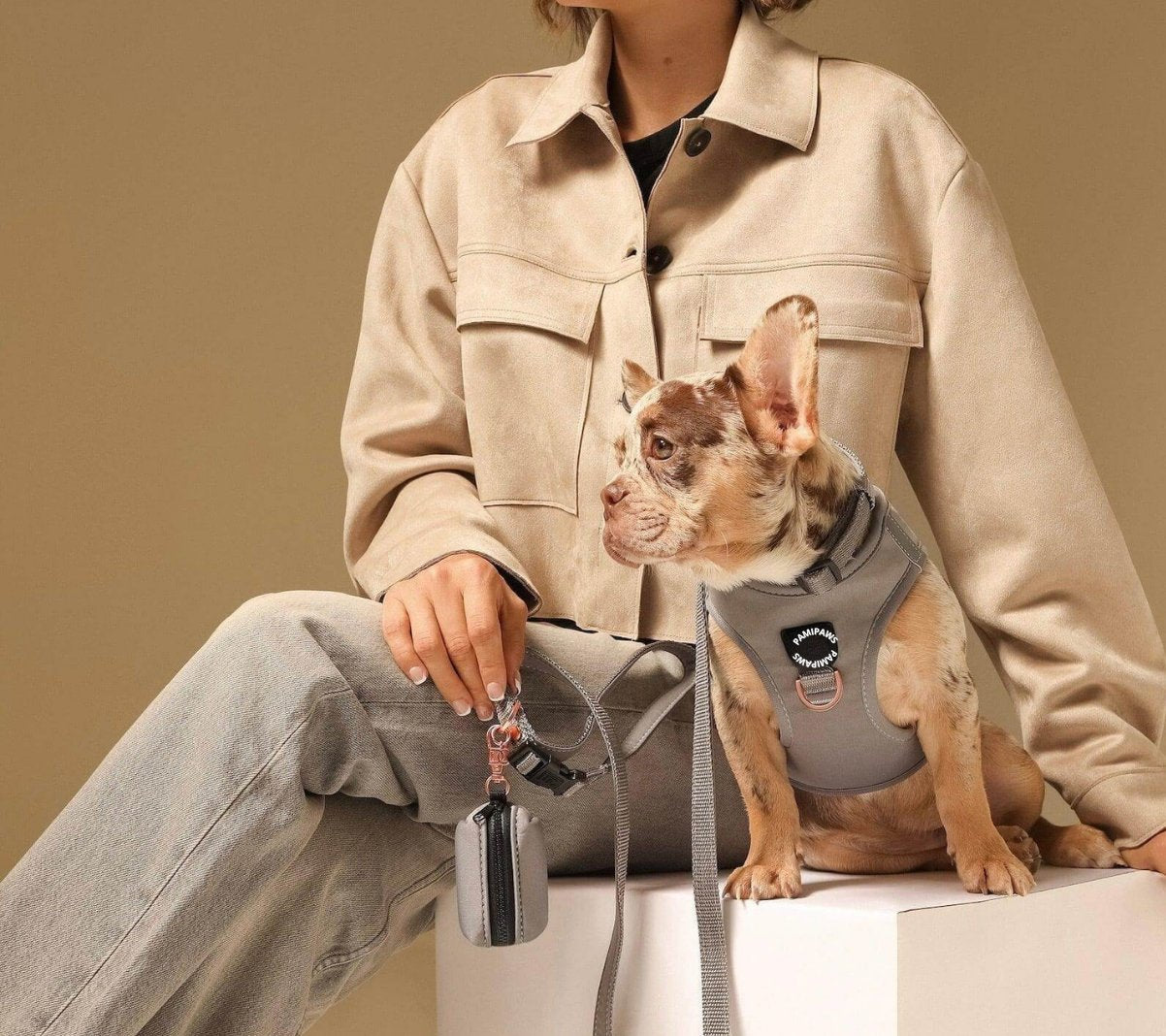 ​Accessoires Promenade Chien
