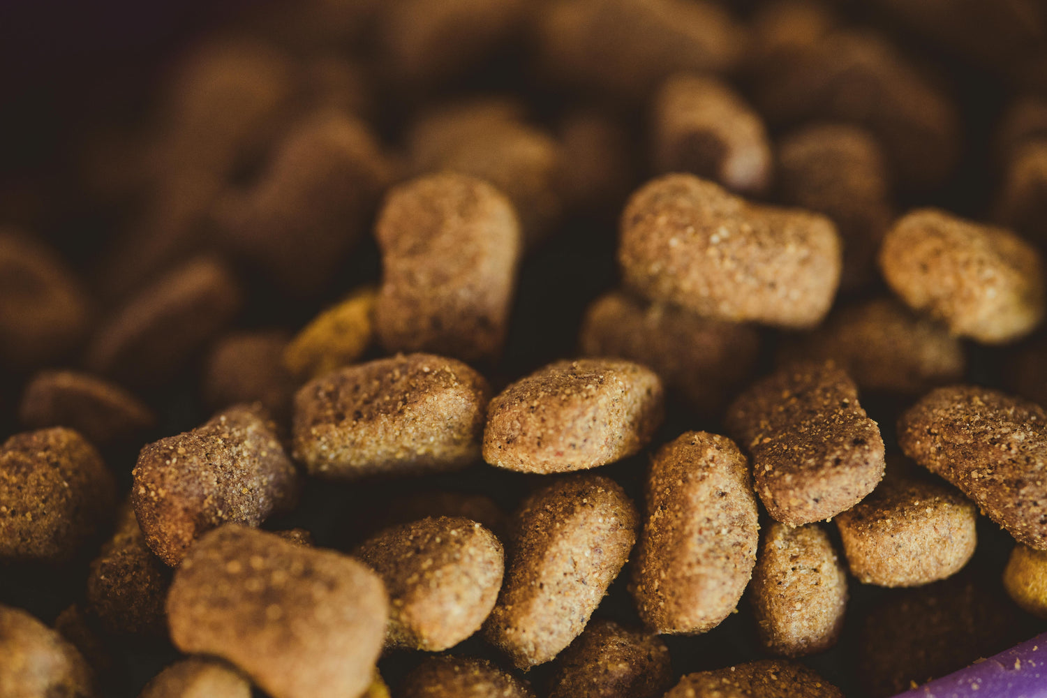 Friandises pour chiens