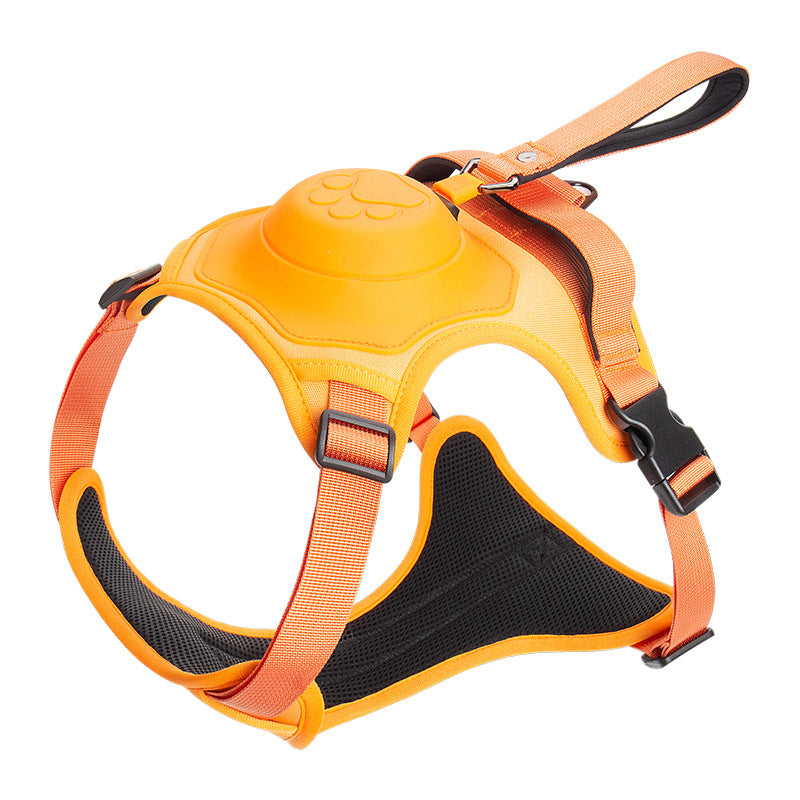 Harnais pour Chien avec Laisse Rétractable