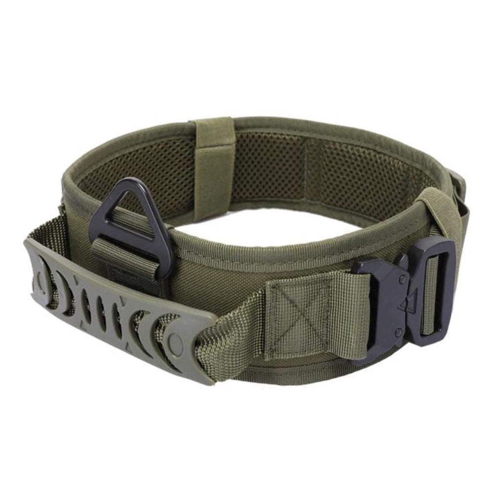 Collier Tactique pour Chien Taille Unique 16–26