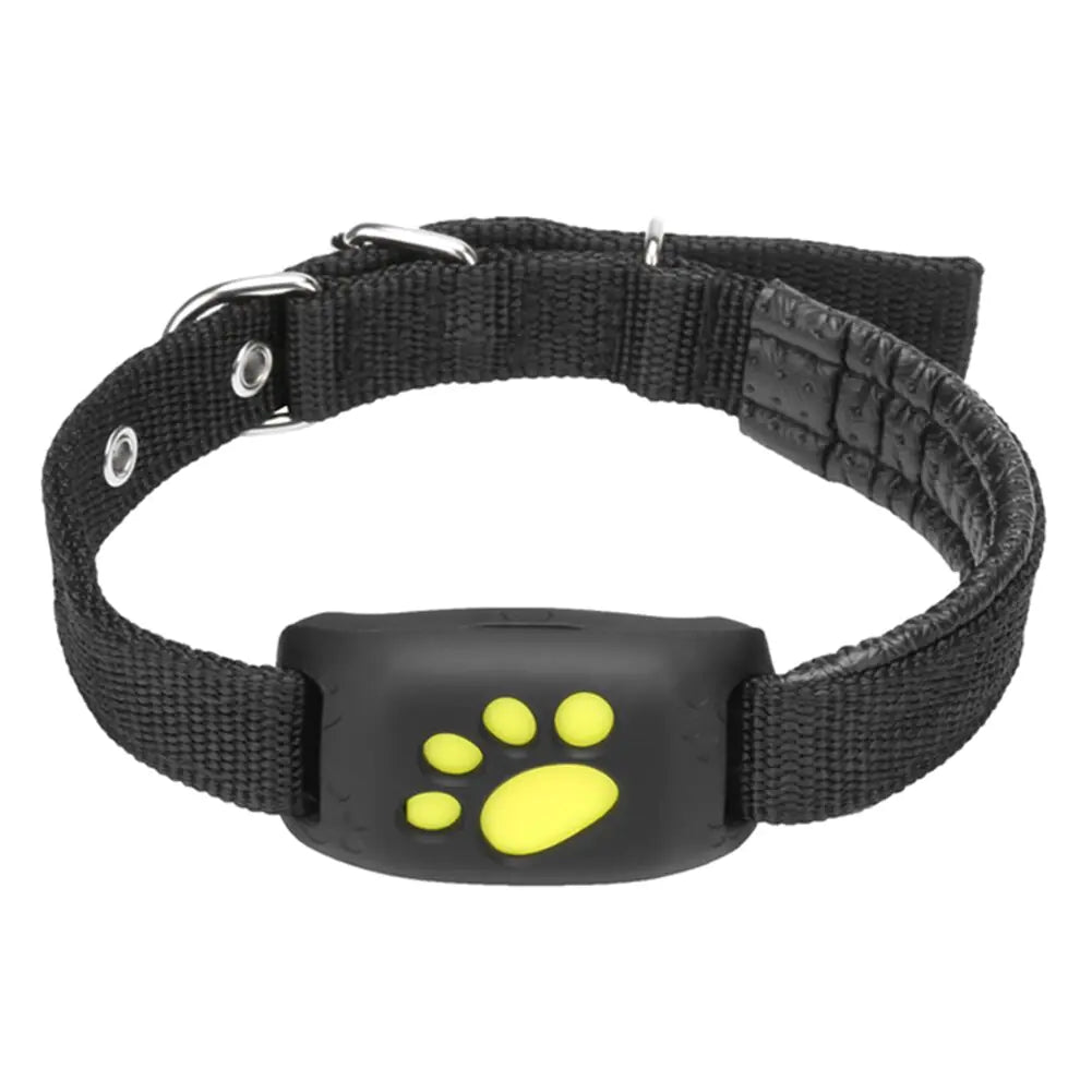Collier GPS pour Chien – Suivi Précis & Sécurisé