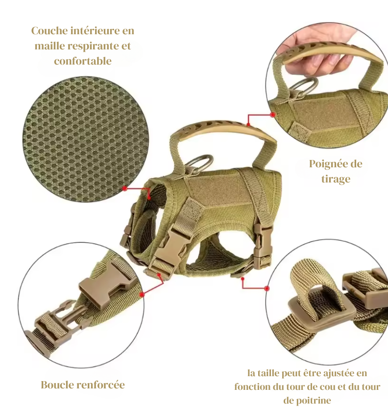 Harnais Tactique pour Petit Chien – Confort et Sécurité
