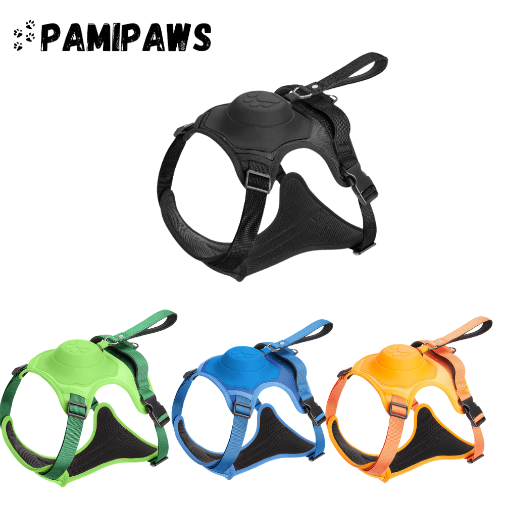 Harnais pour Chien avec Laisse Rétractable