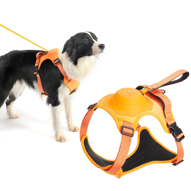 Harnais pour Chien avec Laisse Rétractable