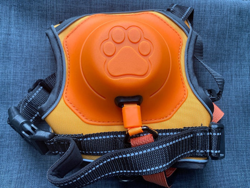 Harnais pour Chien avec Laisse Rétractable
