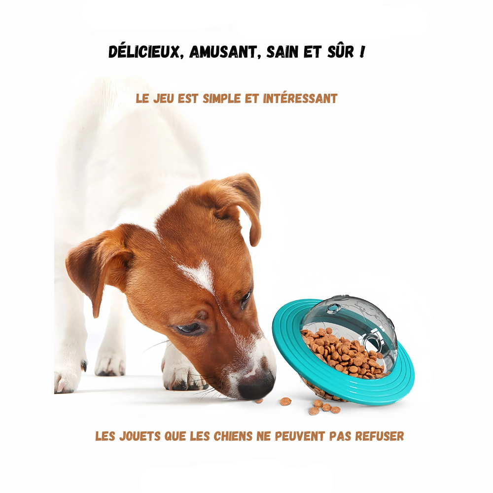 Jouet Distributeur pour Chien – Stimulation et Récompense