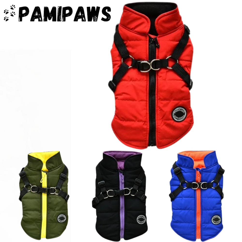 Manteau Imperméable pour Petit Chien