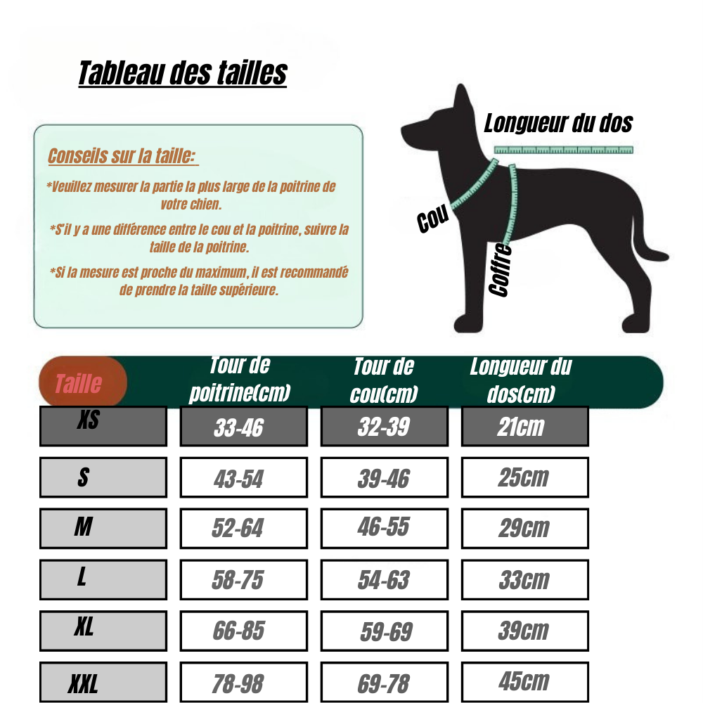 Gilet de Sauvetage Réfléchissant pour Chien avec Poignée