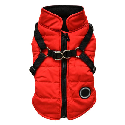 Manteau Imperméable pour Petit Chien