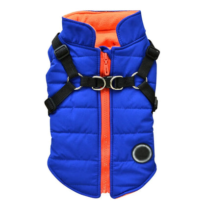 Manteau Imperméable pour Petit Chien