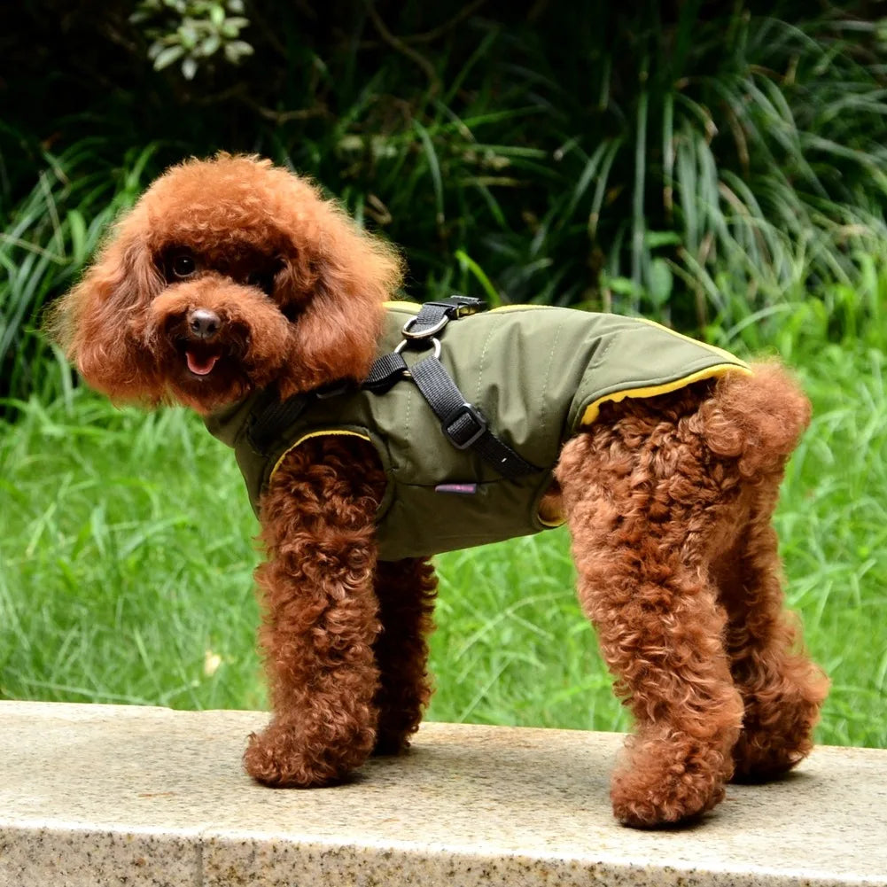 Manteau Imperméable pour Petit Chien