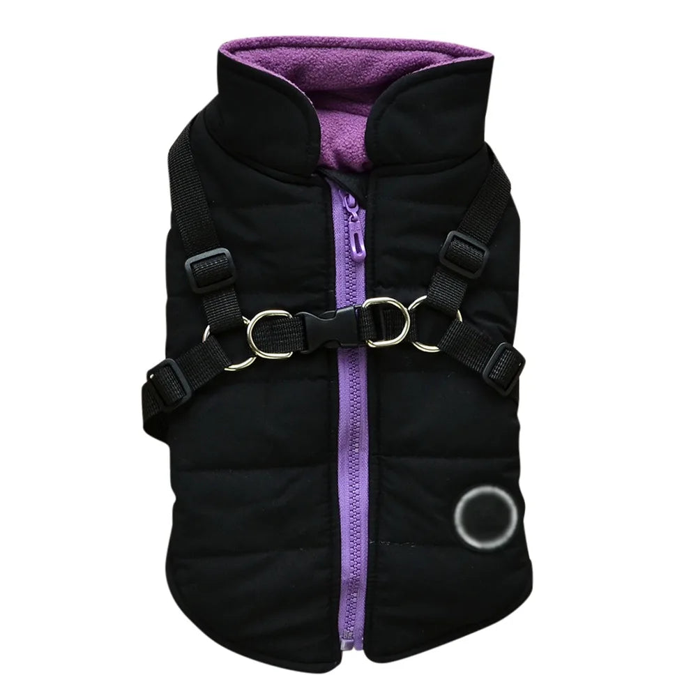 Manteau Imperméable pour Petit Chien