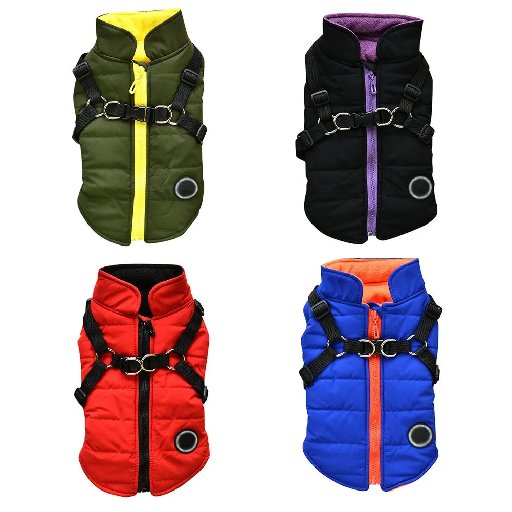 Manteau Imperméable pour Petit Chien