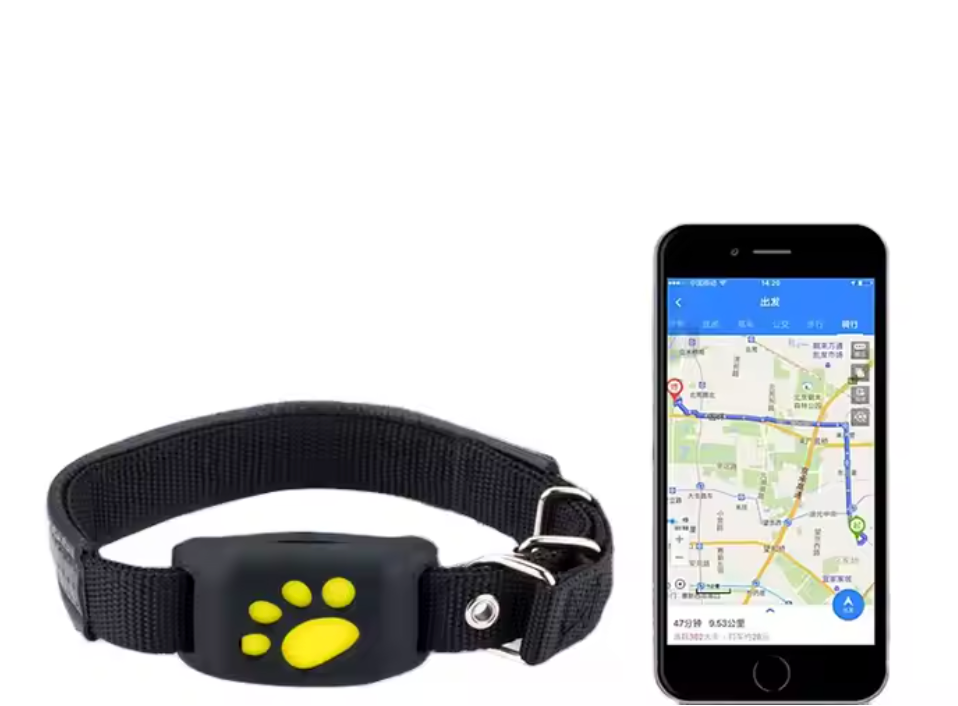 Collier GPS pour Chien – Suivi Précis & Sécurisé