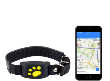 Collier GPS pour Chien – Suivi Précis & Sécurisé