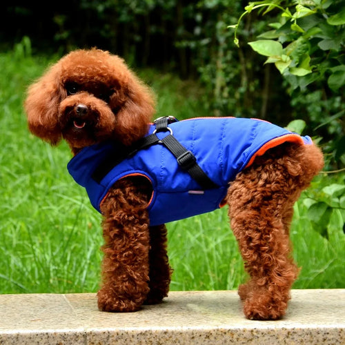 Manteau Imperméable pour Petit Chien
