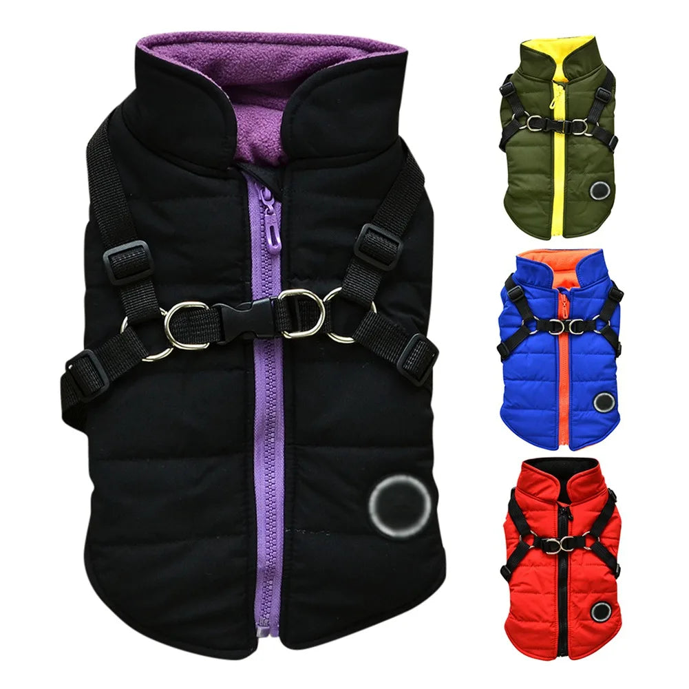 Manteau Imperméable pour Petit Chien