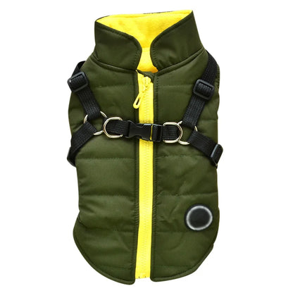 Manteau Imperméable pour Petit Chien