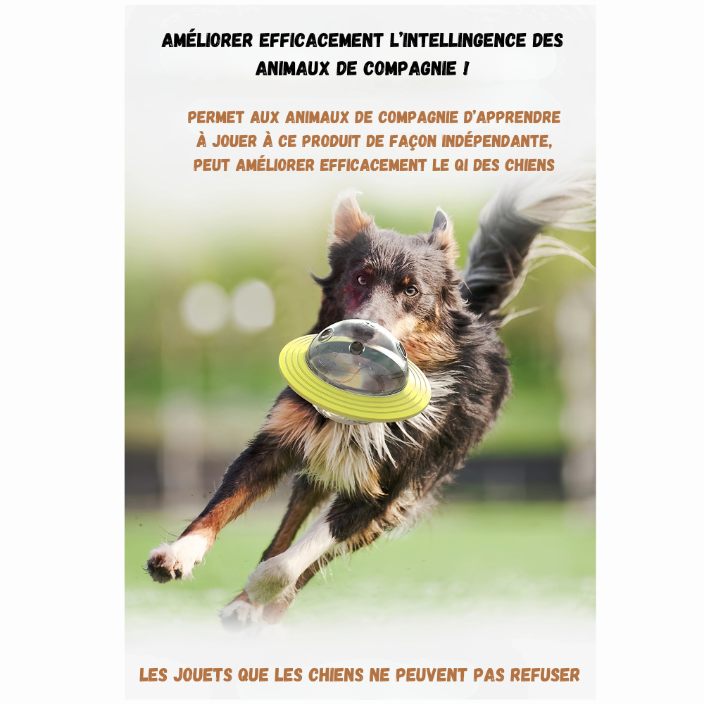 Jouet Distributeur pour Chien – Stimulation et Récompense