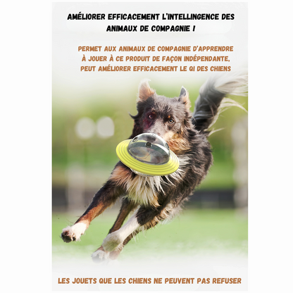 Jouet Distributeur pour Chien – Stimulation et Récompense