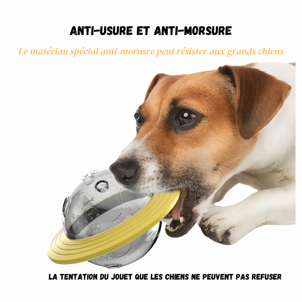 Jouet Distributeur pour Chien – Stimulation et Récompense
