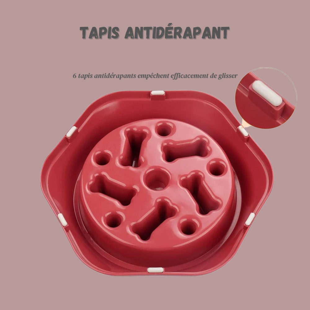 Bol Anti-Glouton pour Chien – Gamelle Ralentissant l’Ingestion