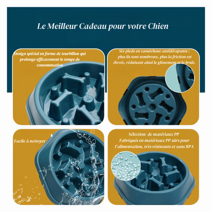 Bol Anti-Glouton pour Chien – Gamelle Ralentissant l’Ingestion