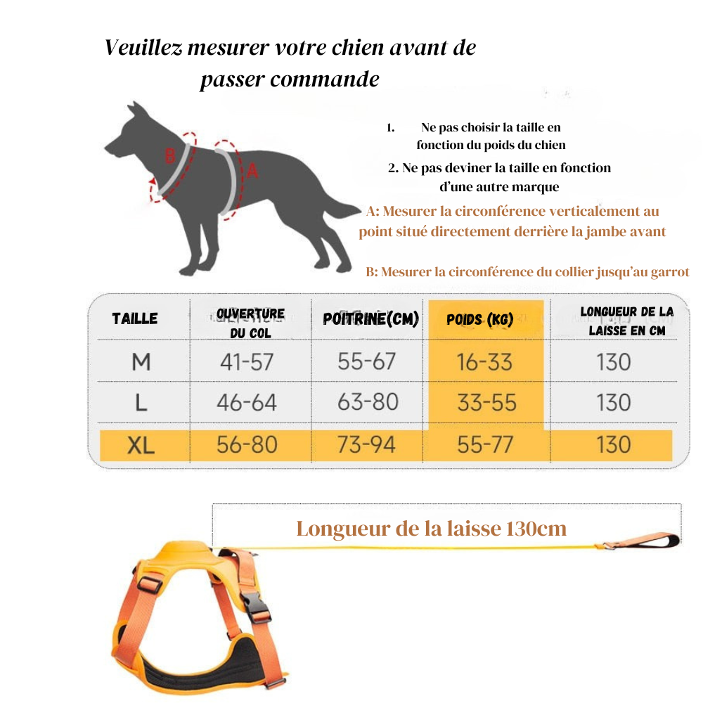 Harnais pour Chien avec Laisse Rétractable
