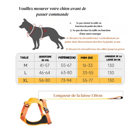 Harnais pour Chien avec Laisse Rétractable