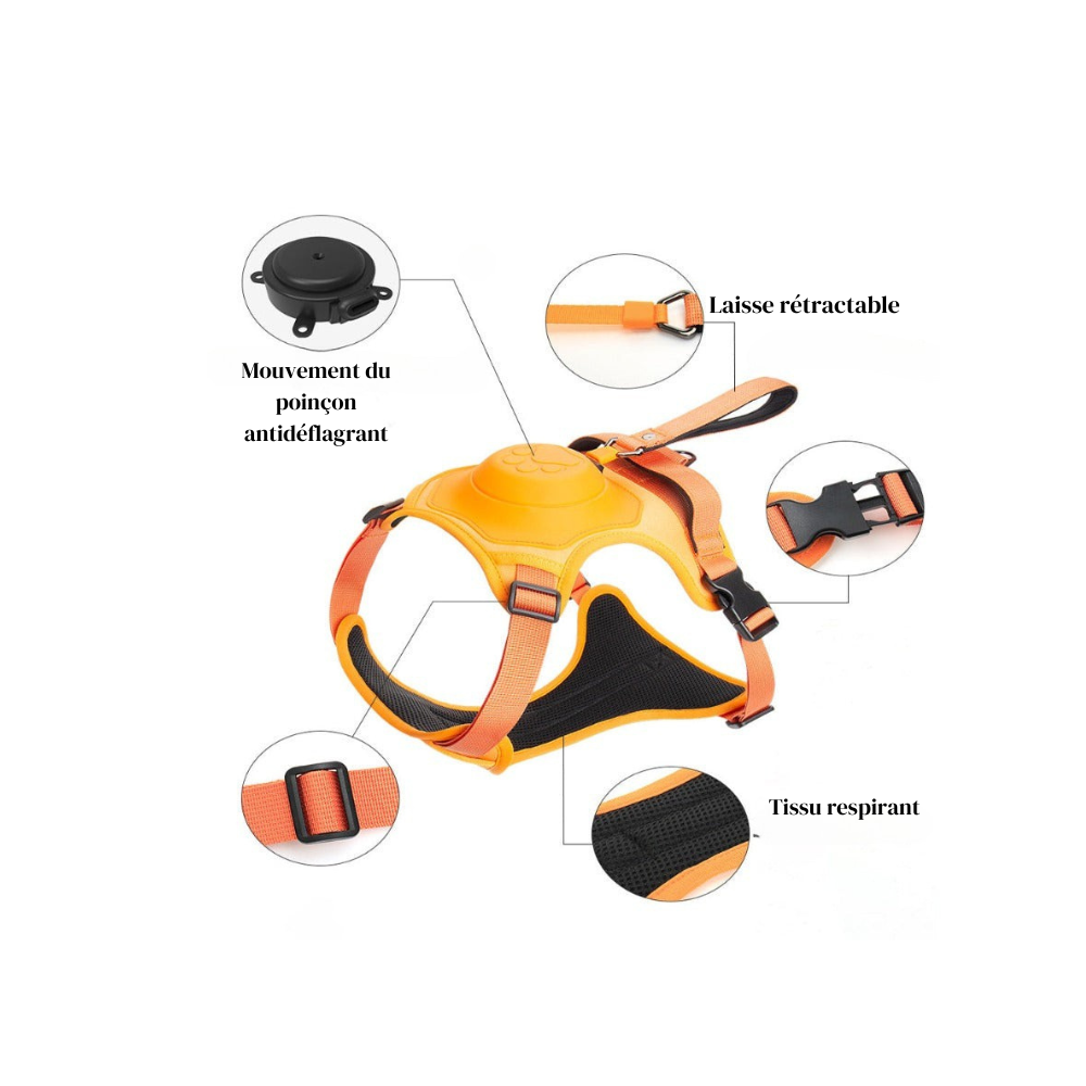 Harnais pour Chien avec Laisse Rétractable