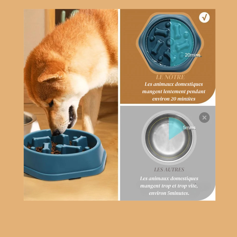 Bol Anti-Glouton pour Chien – Gamelle Ralentissant l’Ingestion