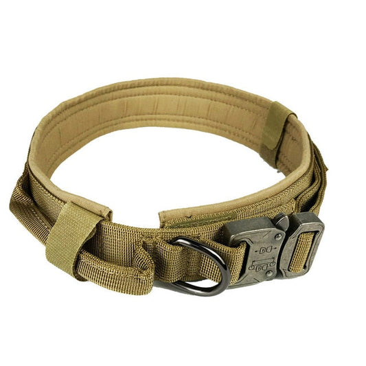 Collier Tactique pour Chien avec Poignée et Boucles